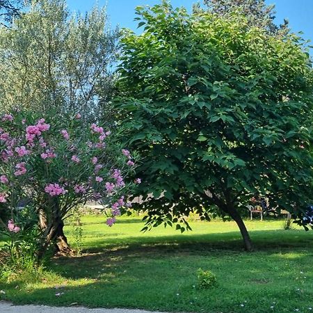 Chambre L'Orchidee ヴァロン・ポン・ダルク エクステリア 写真
